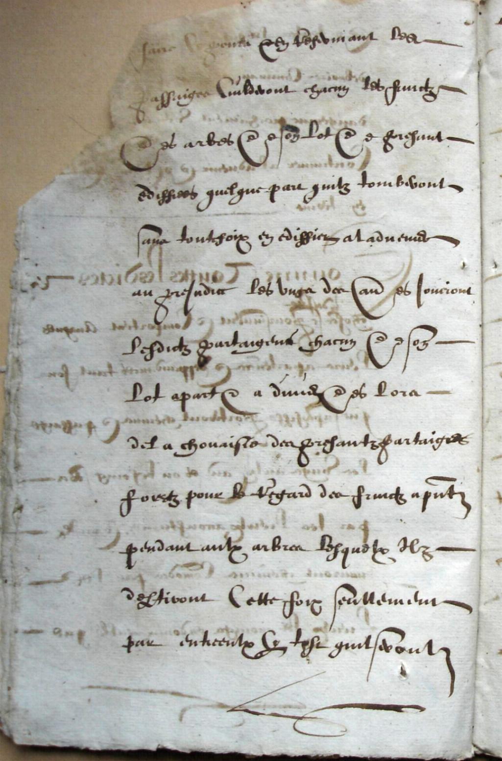 Ceville-Mathurin-partages_1603 (30).JPG